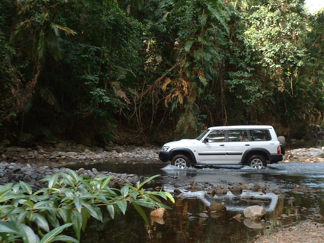 Daintree & Cape Tribulation, 그레이트배리어리프와 케언스