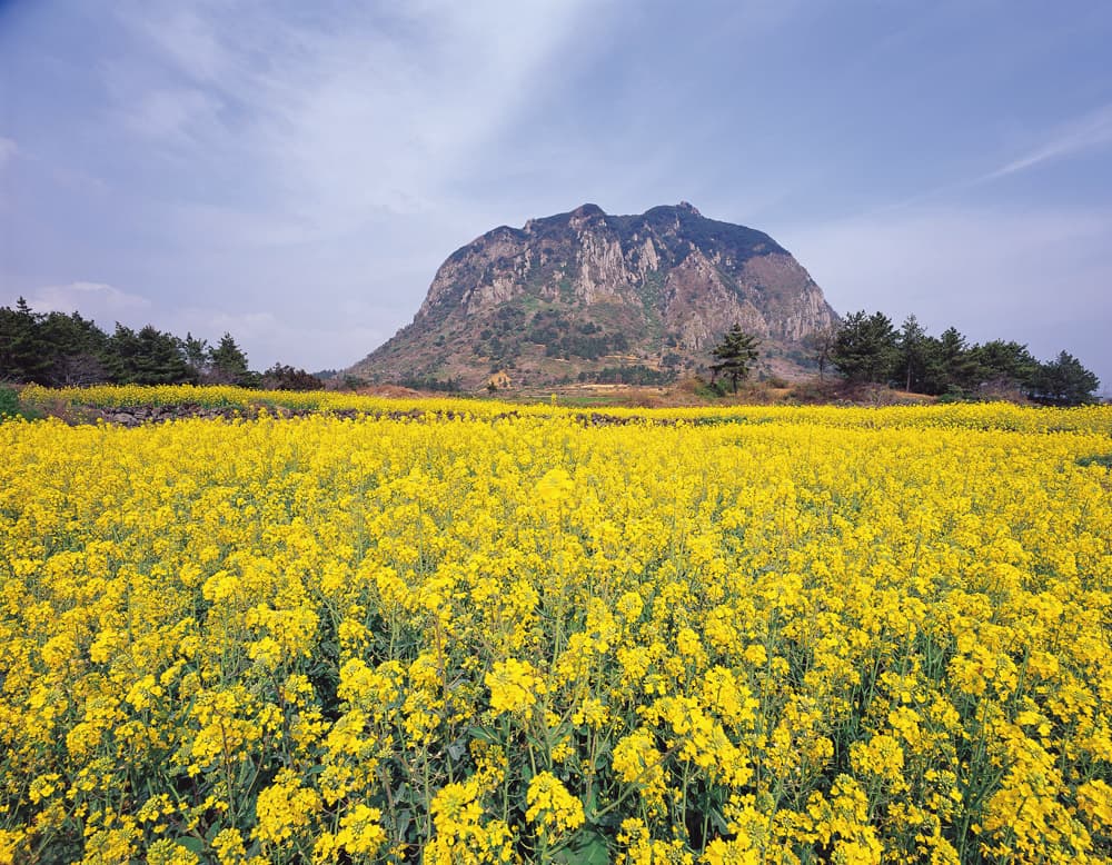 The south-west: Sanbangsan, Songaksan and Moseulpo, Jeju Island