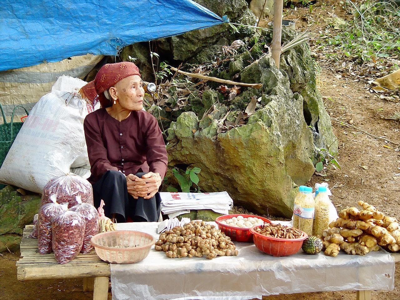Perfume Pagoda (Chua Huong), Vietnam