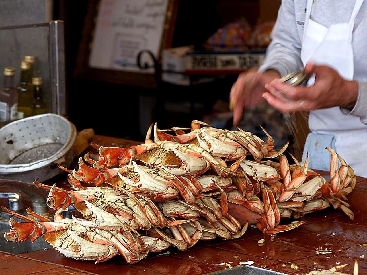 Dungeness crab