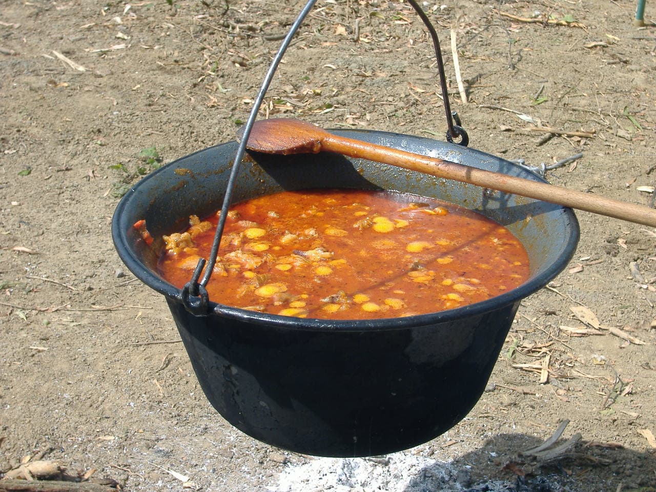 Gulyas (goulash)