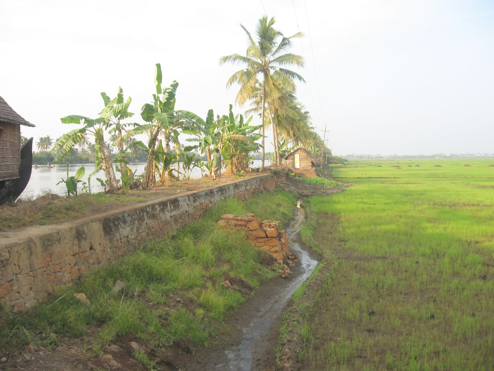 Kerala Backwaters