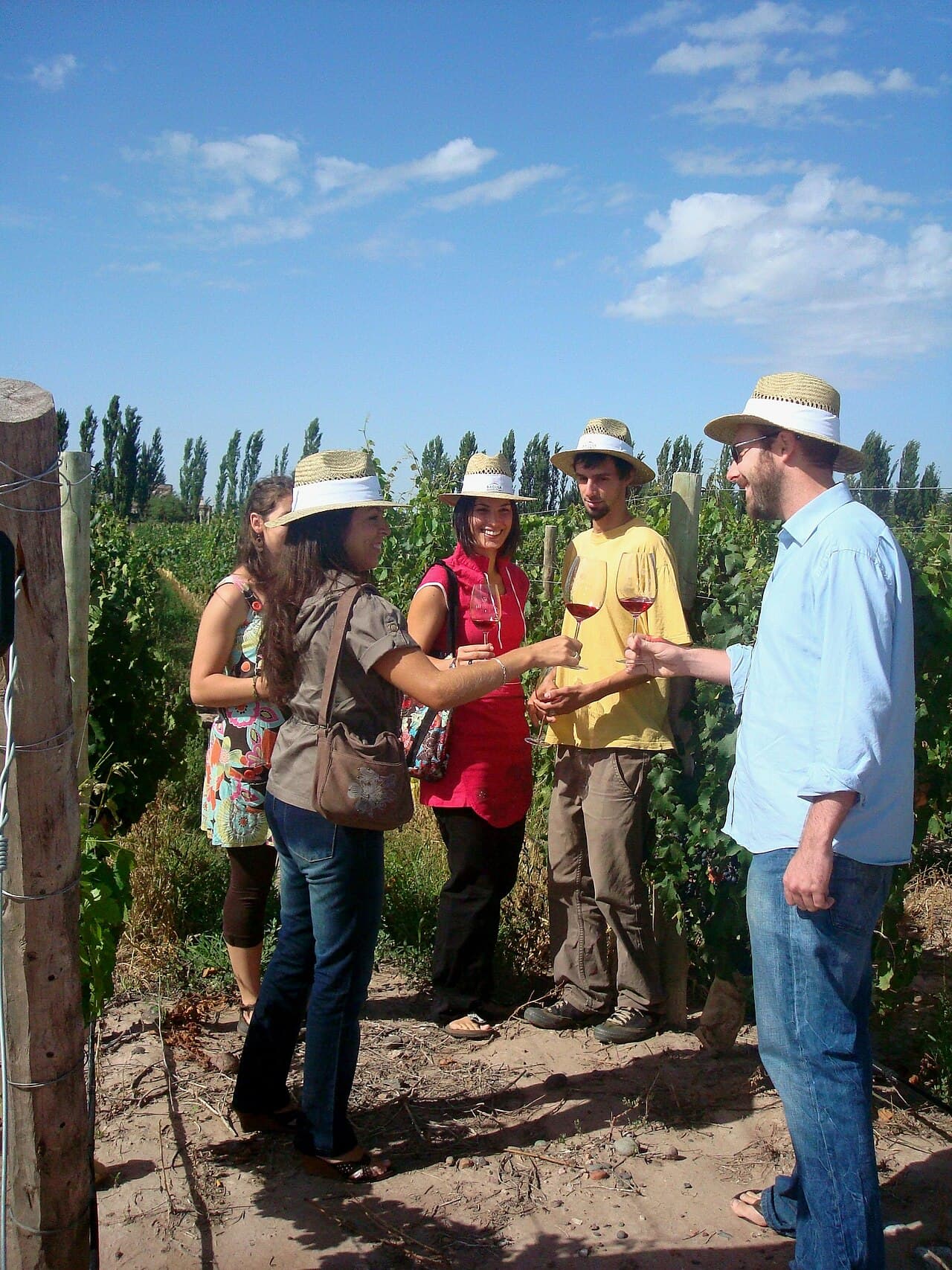 High-altitude Malbec